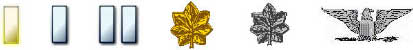 Commissioned Corps Rank Insignia Display