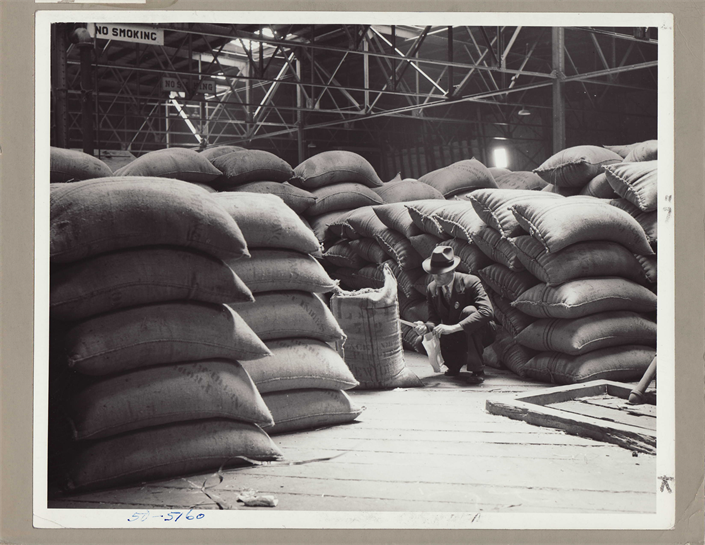 A Sanitarian inspects grain storage, 1950. Food safety and pest control are foundational disciplines for the category.