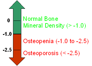 Bone Density